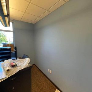 Vancouver Handyman Services Painting